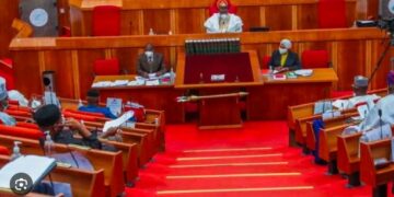 Senate Reveals FG's Electricity Debt Ballooned by N800bn