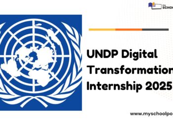 UNDP Digital Transformation Internship 2025 ($500 Monthly Stipend)