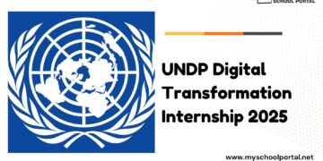 UNDP Digital Transformation Internship 2025 ($500 Monthly Stipend)