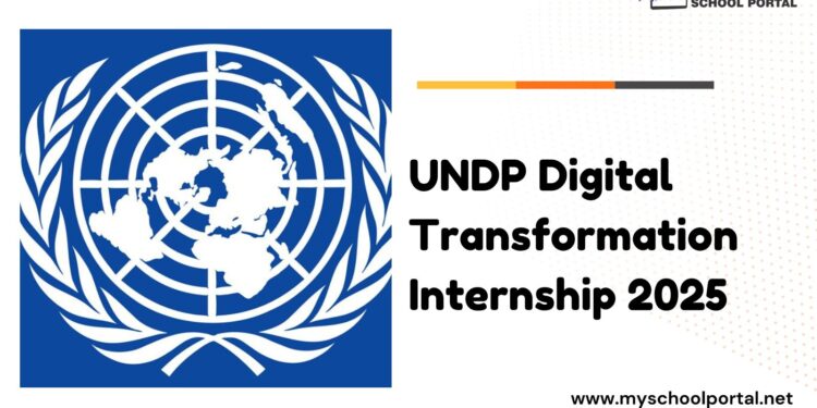 UNDP Digital Transformation Internship 2025 ($500 Monthly Stipend)