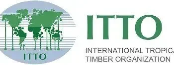 Scallop Free Digital Marketing & Data Analytics Training for Lagos Residents