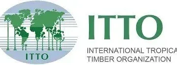 Scallop Free Digital Marketing & Data Analytics Training for Lagos Residents