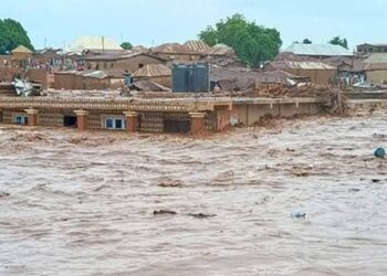 Borno, Taraba Show Solidarity with N350m Donation for Mokwa Flood Victims
