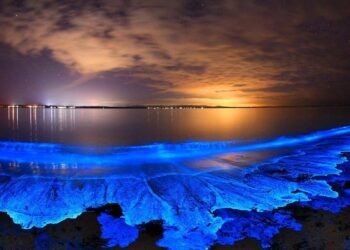 Strange Phenomena in Nature You Didn’t Know Existed