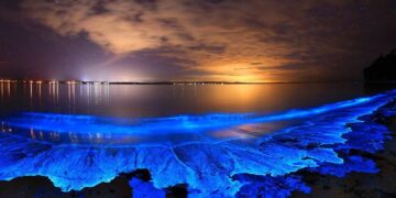 Strange Phenomena in Nature You Didn’t Know Existed