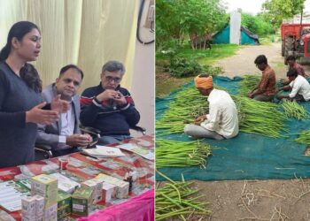 Former Scientist Builds ₹1.75 Cr Moringa Business, Empowers Over 1,000 UP Farmers