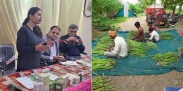 Former Scientist Builds ₹1.75 Cr Moringa Business, Empowers Over 1,000 UP Farmers