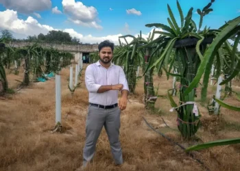Engineer Quits Job, Builds ₹20 Lakh Dragon Fruit Empire in UP
