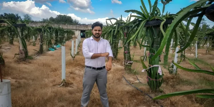 Engineer Quits Job, Builds ₹20 Lakh Dragon Fruit Empire in UP