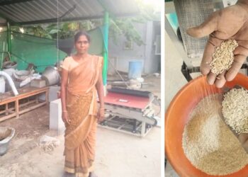 Solar-Powered Rice Mills Boost Farmers’ Yields by 30%, Double Incomes in South India