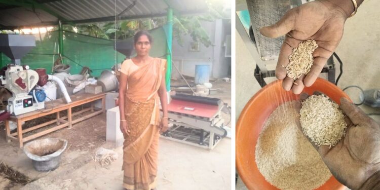 Solar-Powered Rice Mills Boost Farmers’ Yields by 30%, Double Incomes in South India
