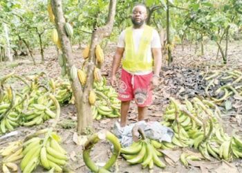 ‘Hardship Pushed Me Into Farming’ 