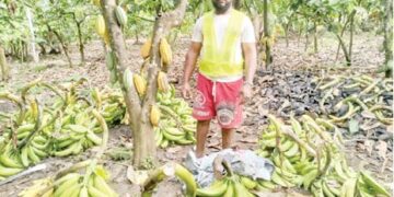 ‘Hardship Pushed Me Into Farming’ 