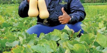 Communal Farmer Builds Thriving Agribusiness in Eastern Cape
