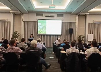 Global Re-export Hubs Transform International Wine Trade