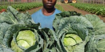 Ex-Engineering Student Turns Farmer, Feeds Community