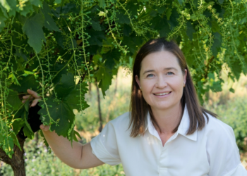 Blaauw Emerges Top Female Raisin Producer