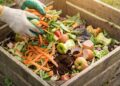 Kitchen Waste Turns to Garden Gold