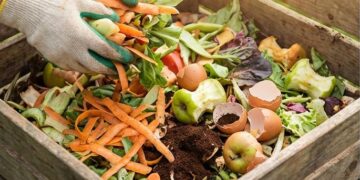 Kitchen Waste Turns to Garden Gold