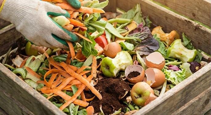 Kitchen Waste Turns to Garden Gold