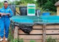 Smart Ponds Open New Fish Farming Opportunities in Arid Regions