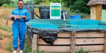 Smart Ponds Open New Fish Farming Opportunities in Arid Regions