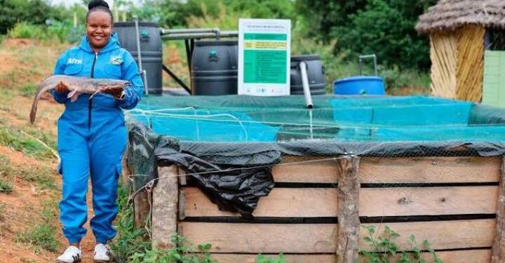 Smart Ponds Open New Fish Farming Opportunities in Arid Regions